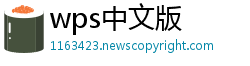 wps中文版